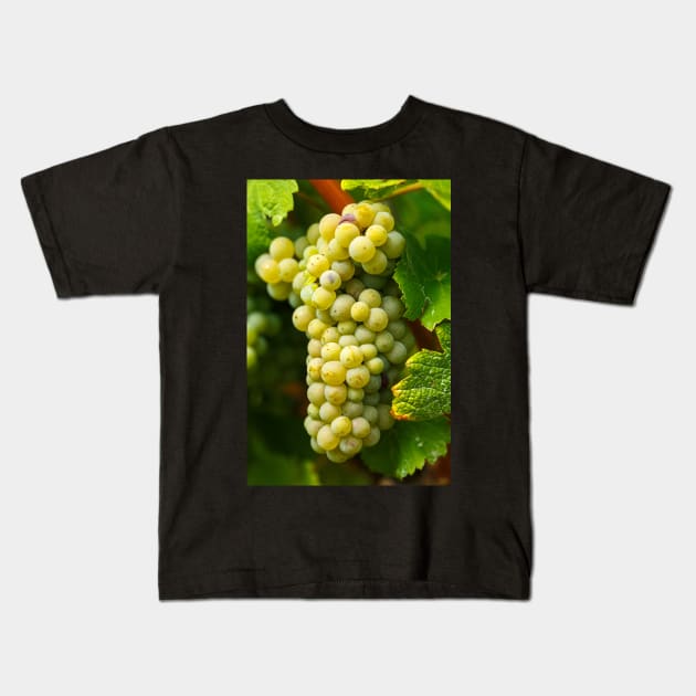 Ripening grapes on the vine Kids T-Shirt by naturalis